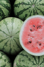 Load image into Gallery viewer, Musa Venus Face Oil