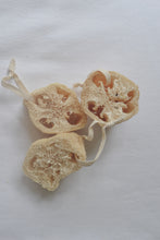 Load image into Gallery viewer, Natural Loofah