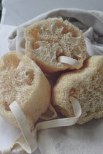 Load image into Gallery viewer, Natural Loofah