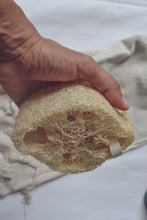Load image into Gallery viewer, Natural Loofah
