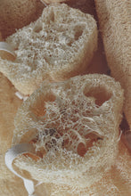 Load image into Gallery viewer, Natural Loofah