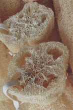 Load image into Gallery viewer, Natural Loofah
